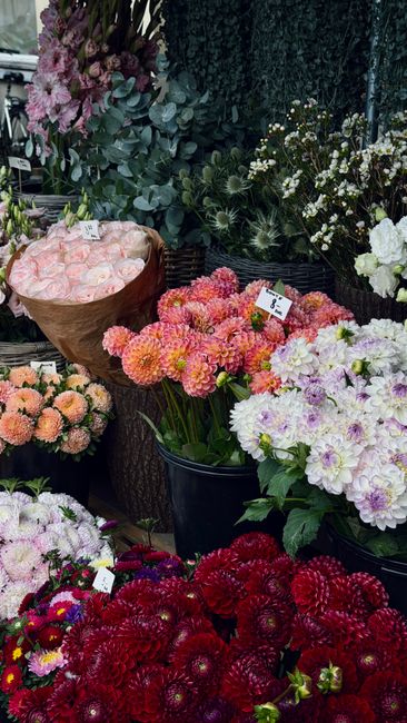 An array of fresh floral arrangements displayed outdoors, featuring a variety of colorful flowers including light pink roses wrapped in brown paper, clusters of vibrant orange and pink dahlias, white