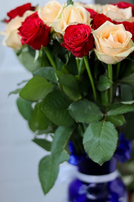 A floral bouquet featuring a combination of red and cream roses, arranged in a dense, rounded style. The roses are fresh, with soft, layered petals that display a velvety texture. The bouquet is place